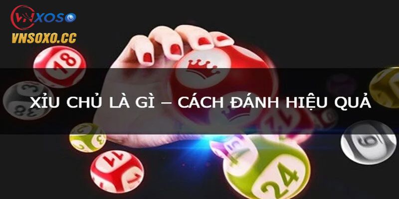 Xỉu chủ là một thuật ngữ xuất phát từ miền Nam
